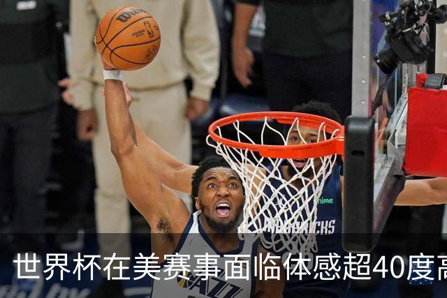 世界杯在美赛事面临体感超40度高温