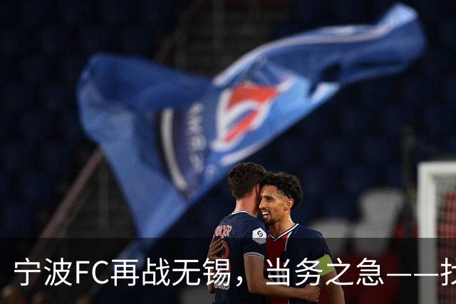 宁波FC再战无锡，当务之急——找到外援托莫维奇的使用说明书