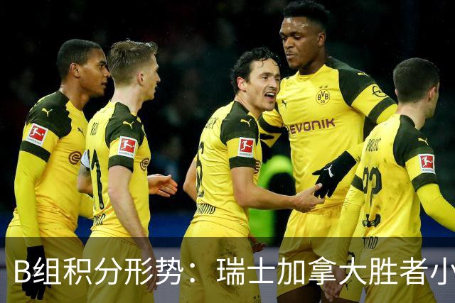 B组积分形势：瑞士加拿大胜者小组第一 平局保携手出线